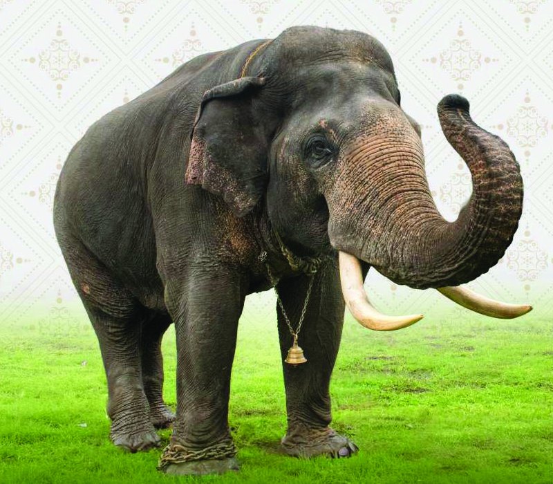 Prashantha