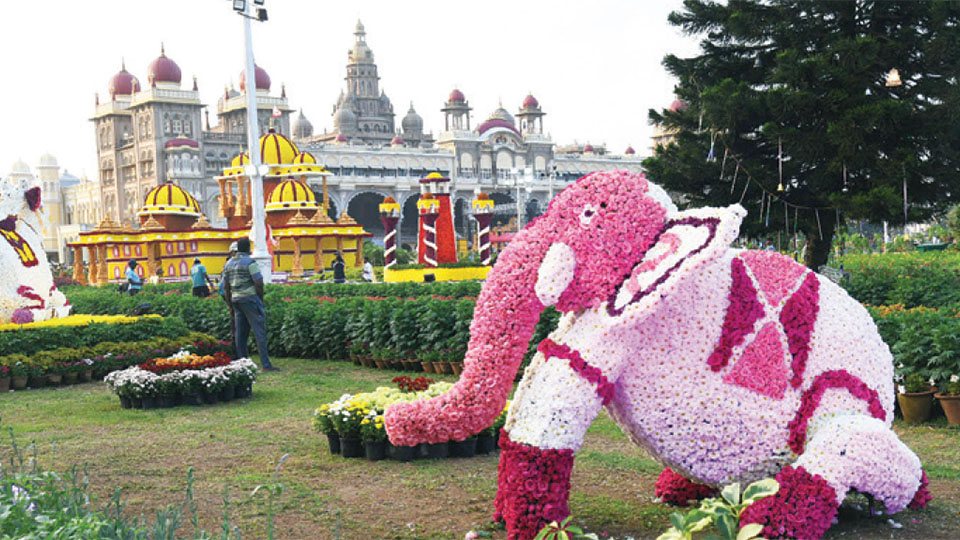 Flower Show